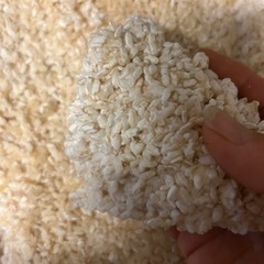 手作り味噌教室の画像