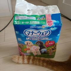 【決まりました】マナーウェアわんこ用SSサイズ