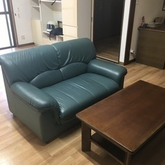 お譲り先、決まりましたの画像