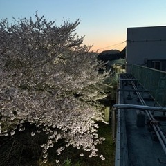 コスプイベント！門司白野江廃校コスプレ部 - 北九州市