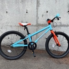 ヨツバサイクル／20インチ／ラムネブルー／子供用自転車の画像