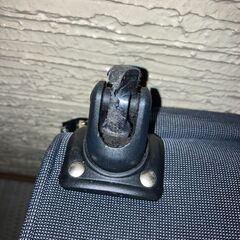 ソフトキャリーケース　クリシオンサイモン　Chrition Saymon  の画像