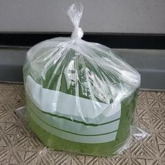 タマミジンコの画像