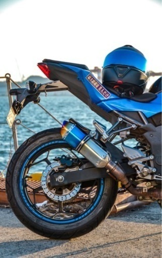 【動画あり】Kawasaki / z250sl 青