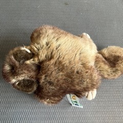 モモンガのぬいぐるみですの画像