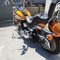 ハーレー FXSTC エボ　車検付き　車庫保管　動画付きの画像
