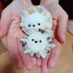 小さな姉妹ハリネズミ　の画像