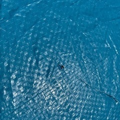 IKEA ポップアップテントの画像