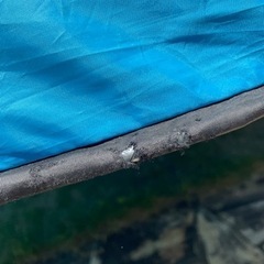 IKEA ポップアップテントの画像