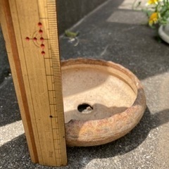 小さな植木鉢の画像