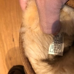 UGGブーツ　レディース　22.0cmの画像