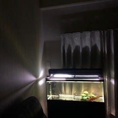 コトブキ90センチスリムガラス水槽　コトブキ水槽台付き上部フィルターフルセット　激安の画像