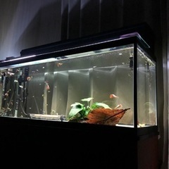 コトブキ90センチスリムガラス水槽　コトブキ水槽台付き上部フィルターフルセット　激安の画像