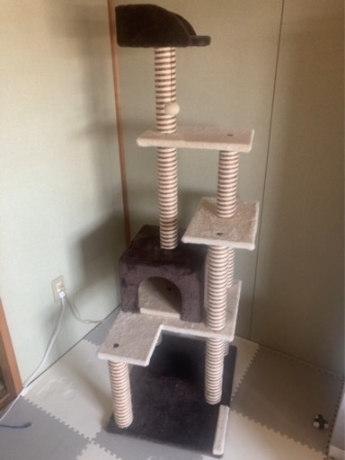 キャットタワー