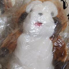 ラスカルぬいぐるみ
