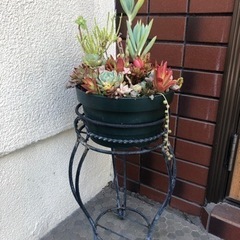 多肉植物寄せ植え　フラワースタンド付き