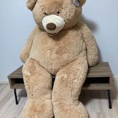 無料！クマのぬいぐるみ