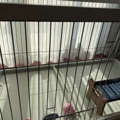 ペットケージ　もらって下さい♪の画像
