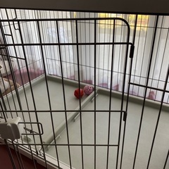 ペットケージ　もらって下さい♪の画像