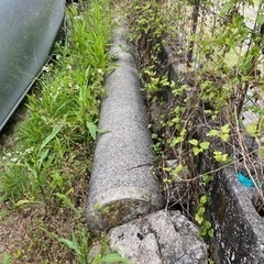 電柱？　約15mほど