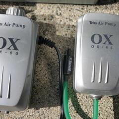 テトラTETRA水槽色々　熱帯魚の画像