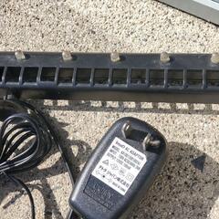 テトラTETRA水槽色々　熱帯魚の画像