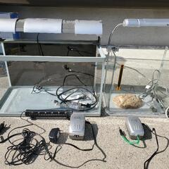 テトラTETRA水槽色々　熱帯魚
