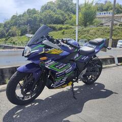 gsx250r EVA カスタム 25万超！