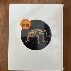 定価約2000円　図鑑　昆虫の画像