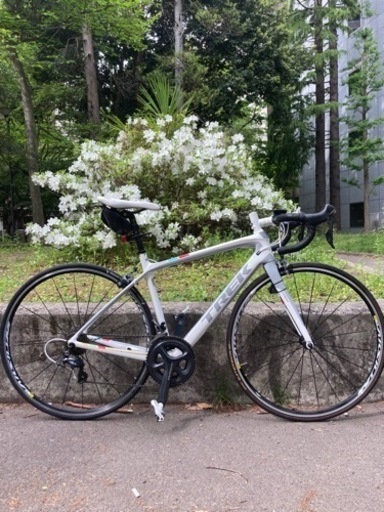 Madone4.7(定価￥324,000)