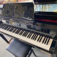 超お薦め品‼️最高峰グレード‼️ 木製鍵盤 カシオ  × C.BECHSTEIN共同開発電子ピアノ GP-1000 2020年の画像