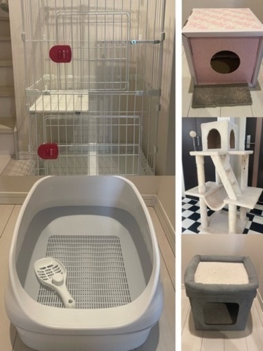 猫用ペット用品5点セット譲ります