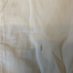 マタニティパンツ　白の画像