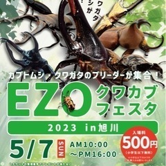 世界の昆虫大集合！GW旭川イベント