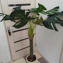 無料！観葉植物(フェイクグリーン)