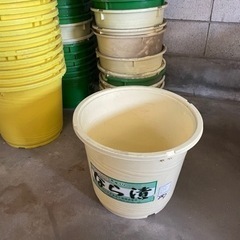 メダカ飼育等に　プラスチック桶　多数の画像