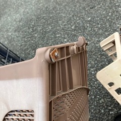 日焼けしてるけど！現在決まりましたの画像