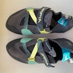 【¥7,000】ボルダリング シューズ　SCARPA ARPIAの画像