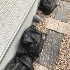 残土　枯れた芝生混じりです