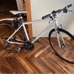 Bianchi Roma 3 ホワイト