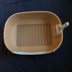 花王　トイレ　本体