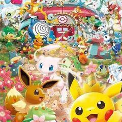 新潟市内でポケカできる方募集！