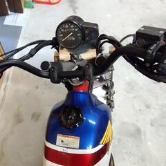 リアディスク・自賠責付き・タイヤ前後新品他改多数　FTR223の画像