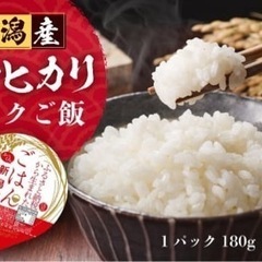 パックご飯 新潟産コシヒカリ 1箱(180gx18個入)