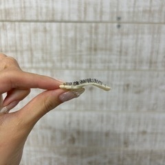 【男女どちらも可💘】ワックス脱毛モデル募集中♪