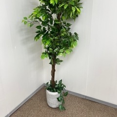 フェイクグリーン/高さ約190cm