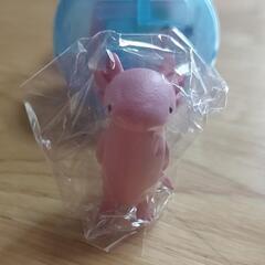 立ち尽くす ウーパールーパー 