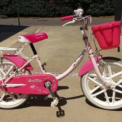 エコキッズ 自転車の中古が安い！激安で譲ります・無料で