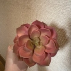 造花多肉植物①