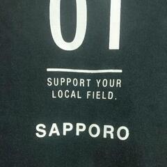 THE NORTH FACE（ノースフェイス）Tシャツ　SAPPORO　札幌モデルの画像